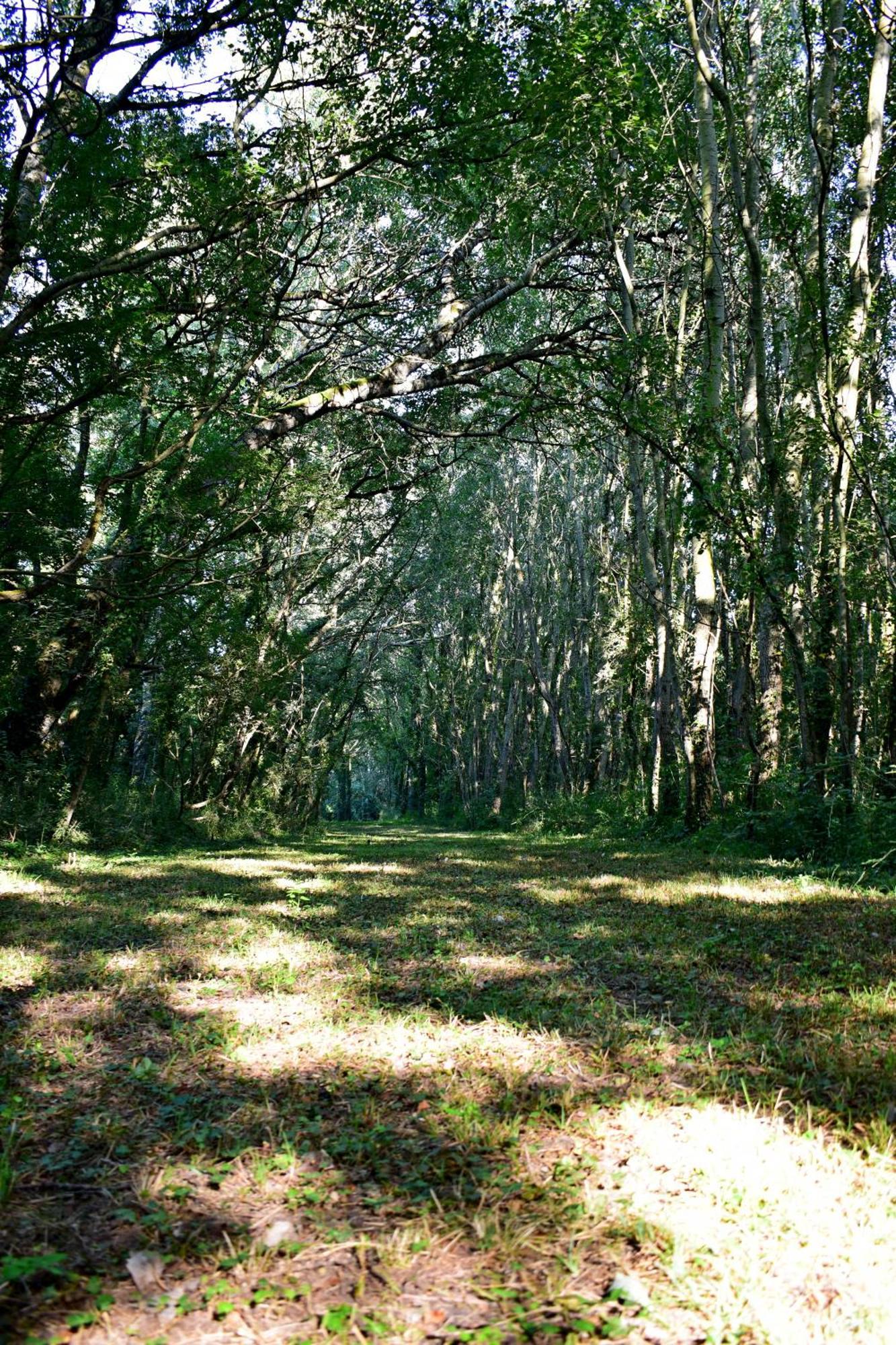 L'Oree Du Bois Gaubau Saint-Georges-sur-Layon Εξωτερικό φωτογραφία